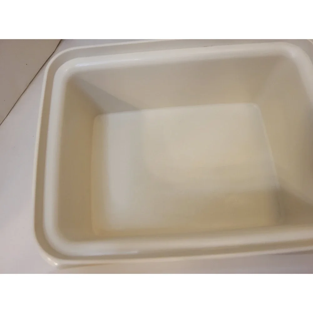 Tupperware Freeze N Save Ice Cream Keeper Set 2 Beige Rectangular Containers